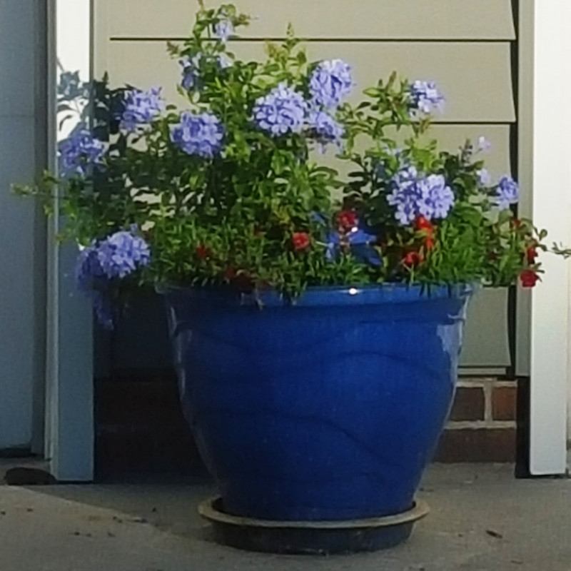 Pacific Meadows II and III