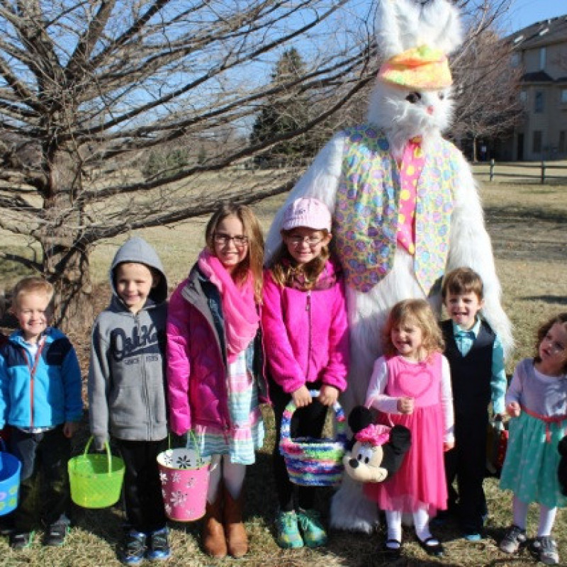 Pacific Meadows II and III