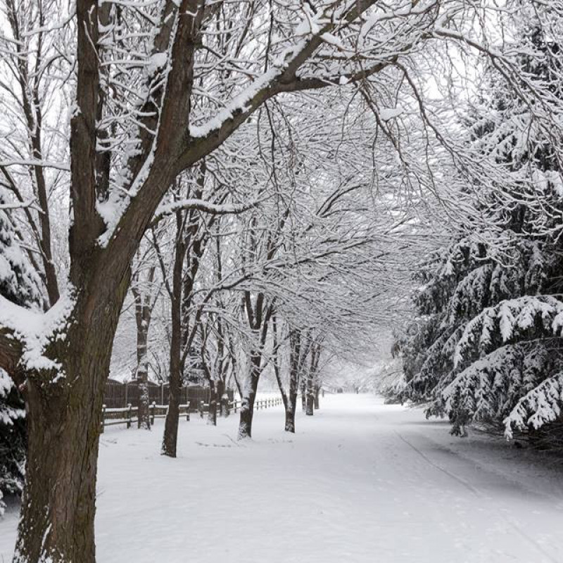 Pacific Meadows II and III